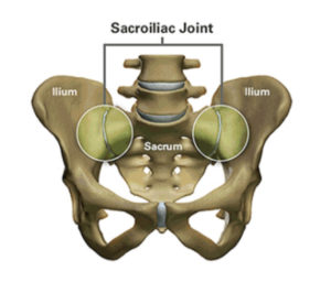 Sacroiliac (SI) joint